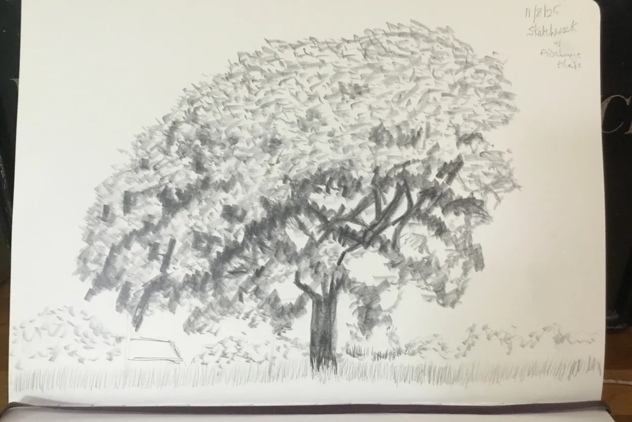 Tree with shade
