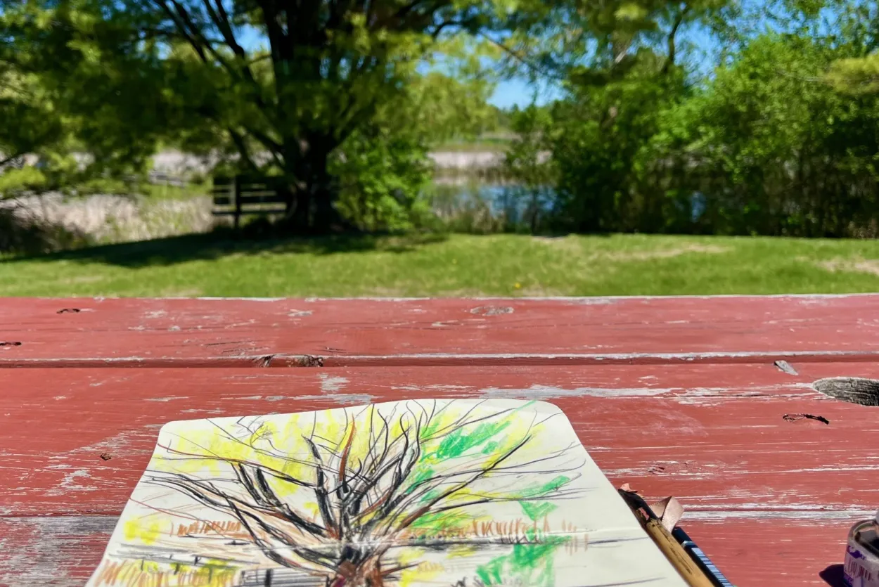 Nature Walking Drawing