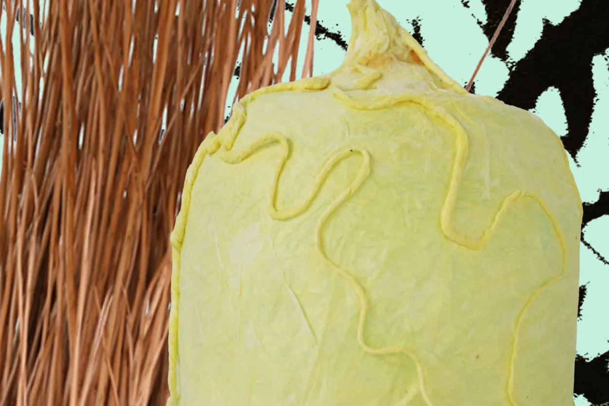 Photograph of handmade paper lantern