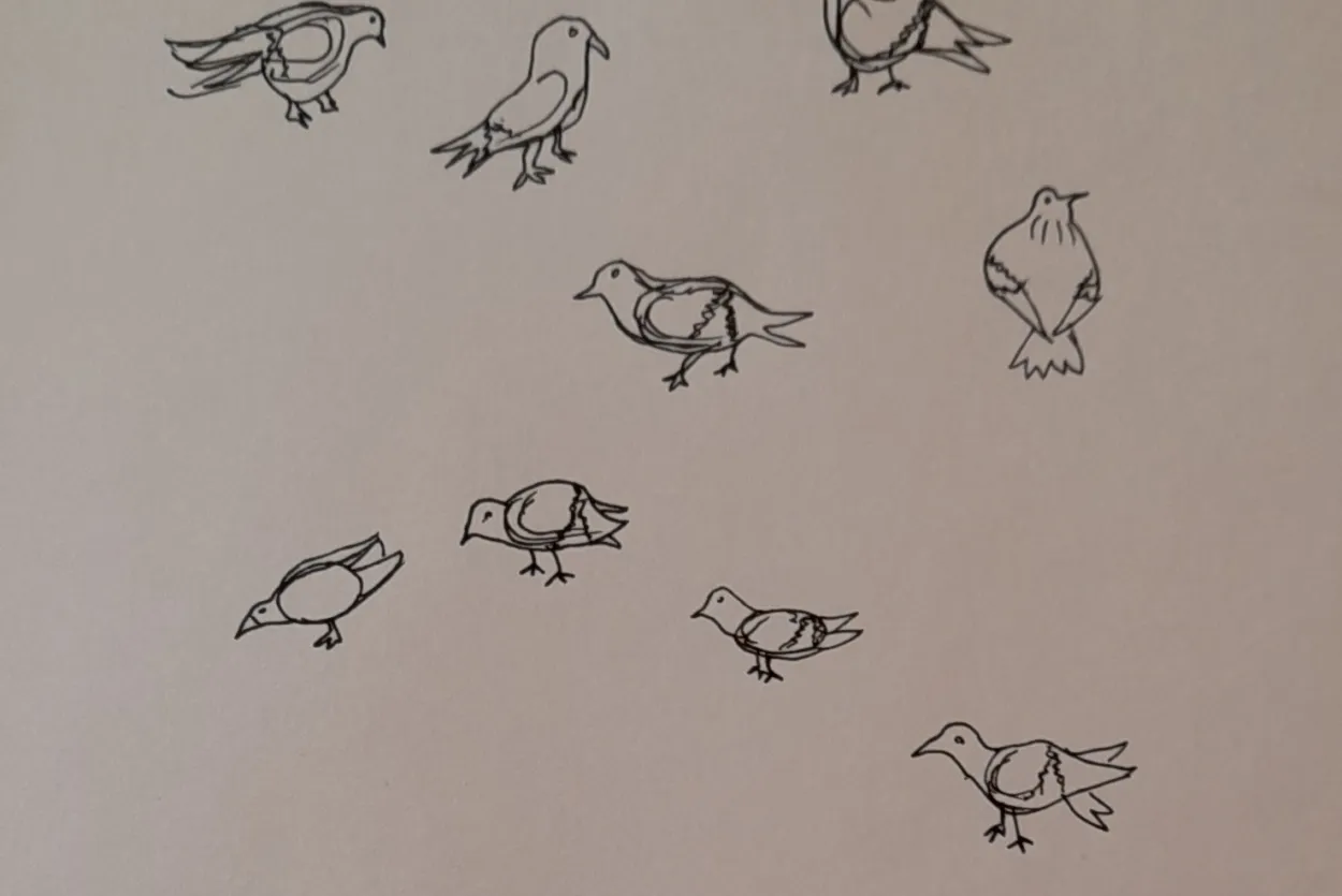 Urban scene, pigeons in a square