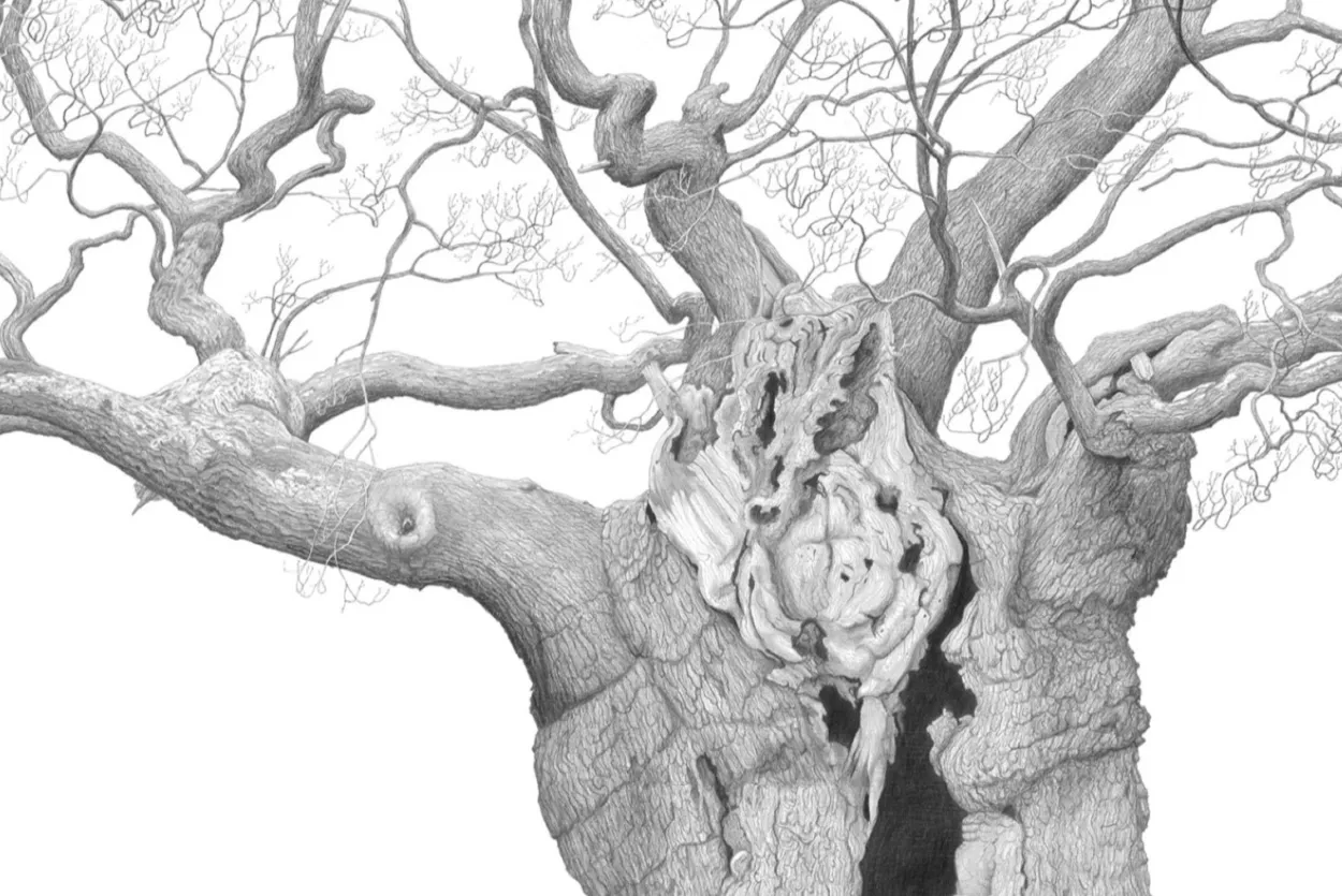 Detail, The Royal Oak by Mark Frith