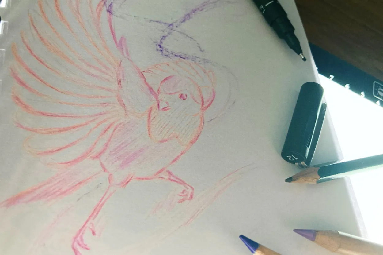 Image by Joshua Orgill