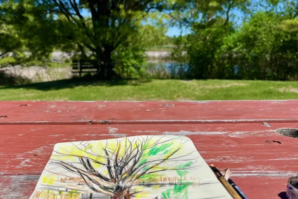 Nature Walking Drawing