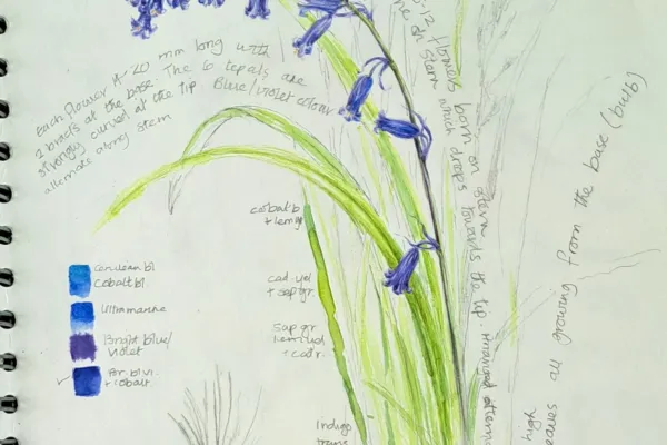Image of sketchbook at the end of a journaling session