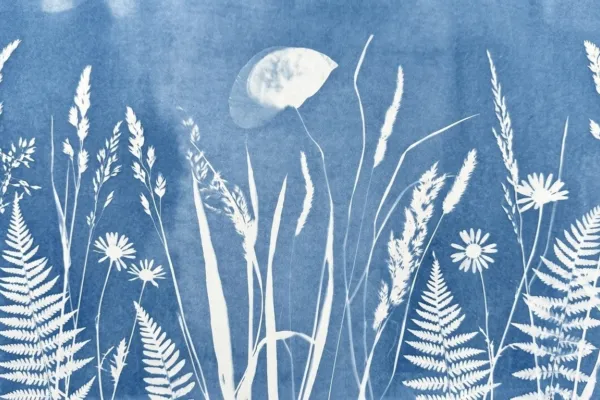blue shades cyanotype print featuring flowers and grass