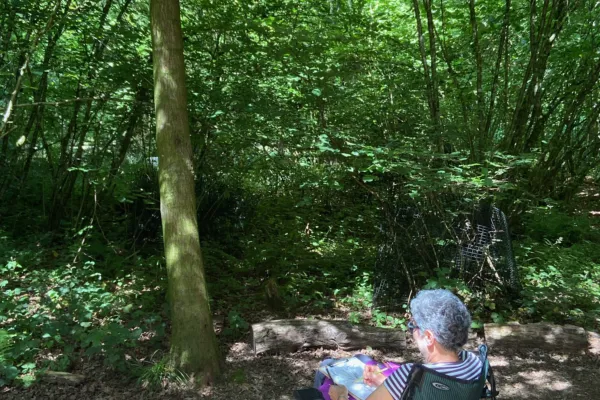 person sketching a tree