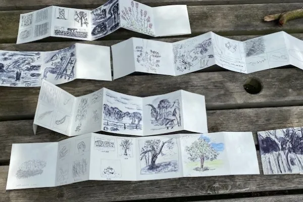 A selection of art from the summer 'Sketching for the Terrified' session.