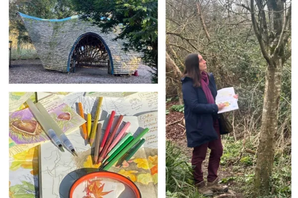 person drawing in woodland and art materials