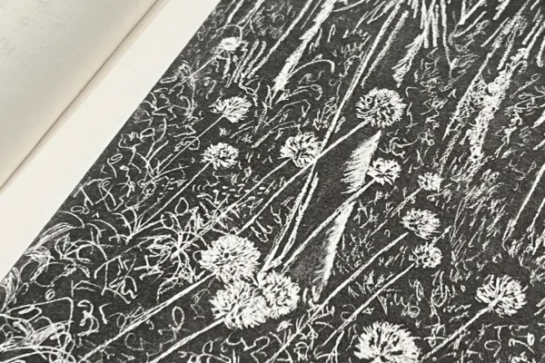 Drawing by Emma Tarlo
