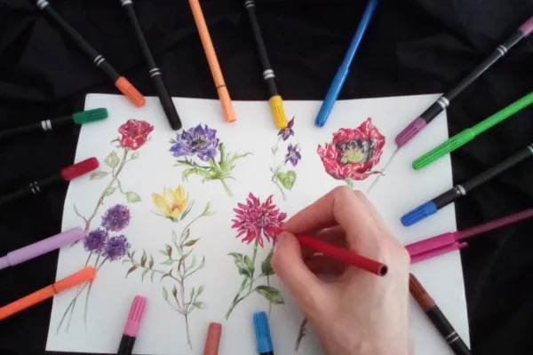 Enjoy a variety of creative ideas